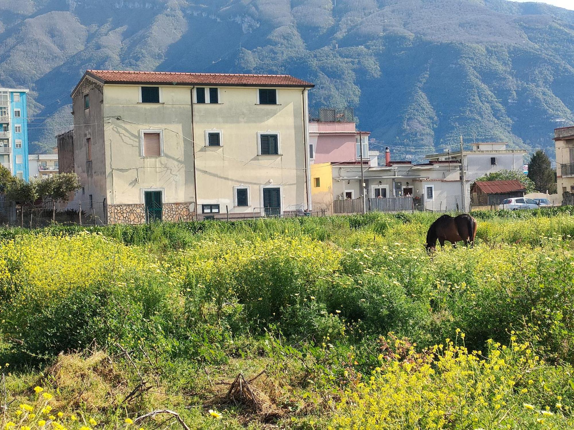 Lilla Housing Apartment Castellammare di Stabia Exterior foto